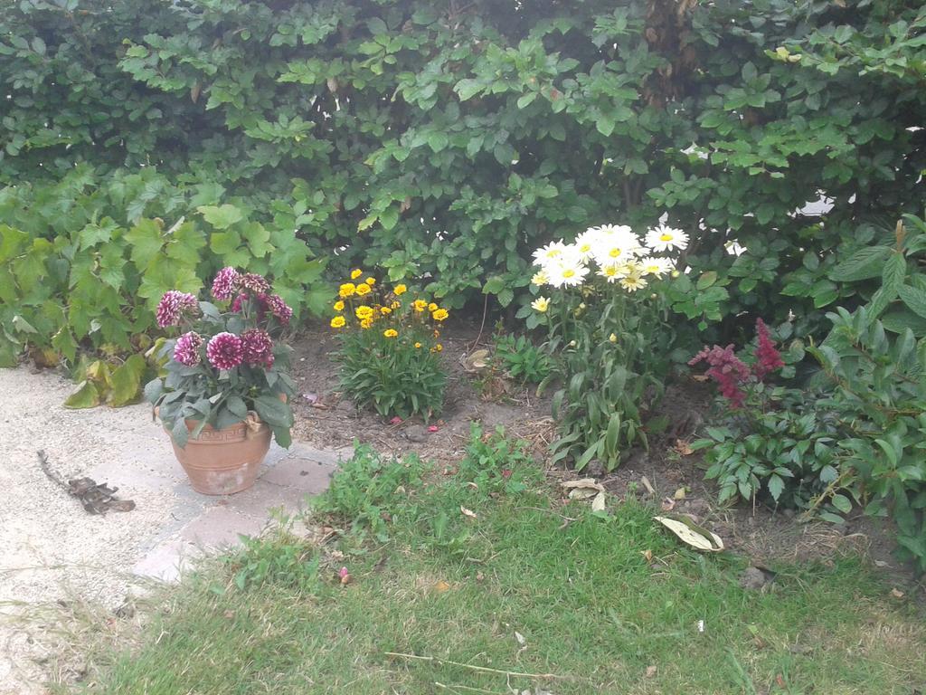 Belvedere B&B Svendborg Zewnętrze zdjęcie